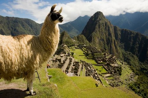 秘鲁开拓中国旅游业务,南美游日渐流行 | 美通社